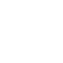 branding branding icon