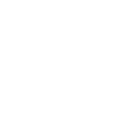 seo SEO icon